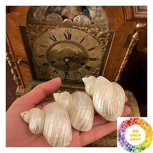 Anillos de Servilleta Hechos a Mano con Conchas y Acentos de Madreperla para Decoración de Bodas Costeras, Venta al por Mayor para Comercios y Hostelería - Product Image 6