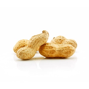 Arachides Tanzaniennes Premium : Grains d'arachide à profil oléique équilibré pour applications culinaires et commandes en gros - Product Image 3