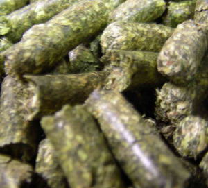 Granulés de foin d'alfalfa riches en protéines pour l'alimentation animale - Product Image 1