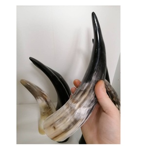 Polished Buffalo Horn decorative Unique Carved Animal Style Handicraft Natural <b>Raw</b> Horn Decoration items - Product Image 4