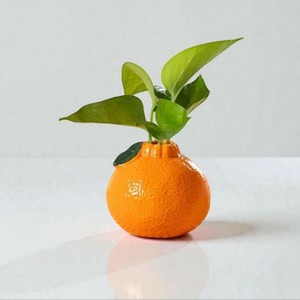 Jarrón de Cerámica Naranja Esmaltado, Exquisito y Duradero, de 4-8 Pulgadas de Ancho y Menos de 4 Pulgadas de Alto, con Hojas Verdes, Decoración Minimalista para Mesa - Product Image 5