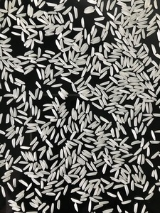 Arroz Blanco de Grano Largo Vietnamita ST25, Nueva Cosecha, Marca Exclusiva, Fuerte Aroma, Textura Seca y Dura, Proceso de Cultivo Común - Product Image 6