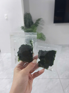 Dried Sea Grapes natural Caulerpa lentillifera material for salad topping sushi garnish ingredient Vietnam supplier - Product Image 3