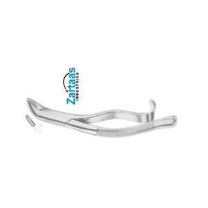 Pince d'extraction en acier inoxydable de haute qualité incisives inférieures, prémolaires fig 103 Fabricant et exportateur - Product Image 6