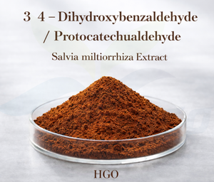 HGO Factory Supply Pure Salvia miltiorrhiza <b>Extract</b> (Health food Grade) 3 4-Dihydroxybenzaldehyde/ Protocatechualdehyde 15% - Product Image 4