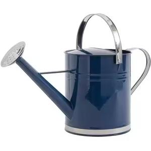 Arrosoir décoratif en métal, outil de jardinage durable pour une utilisation intérieure et extérieure - Product Image 4