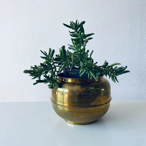 Pot de fleurs élégant et luxueux en métal pour la décoration intérieure, extérieure et architecturale des jardins. - Product Image 1