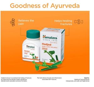 Capsules à base de plantes Hadjod pour la santé des os, de la marque Himalaya Wild Bone Wellness, à base d'herbes pures, complément ayurvédique d'origine indienne, pour la santé des os et des articulations, vitalité. - Product Image 3