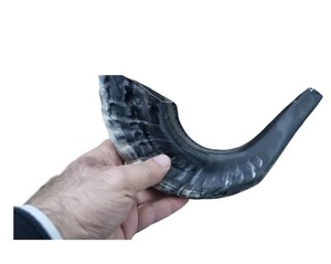 Corne de buffle style animal, corne à souffler souvenir - Faite à la main, étanche, cadeau de Noël et du Nouvel An - Product Image 6