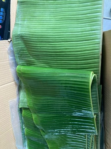 ใบตองแช่แข็งแบบทั้งใบ ตัดสะอาดจากเวียดนาม ราคาดีที่สุดสำหรับขายส่ง - Product Image 3