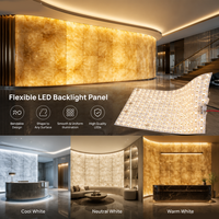 Feuille LED RAYMATES monocouche ultra-fine 450 LED, panneau découpable 1 LED, matrice lumineuse 6000K pour plafond de bar