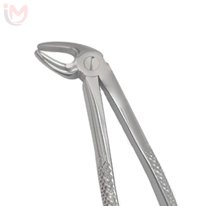 Forceps d'extraction manuels ergonomiques Imans English Pattern pour molaires inférieures, instrument chirurgical dentaire - Product Image 2