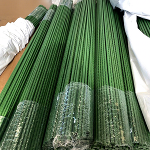 Bâton de soutien pour plantes grimpantes en plastique vert - Product Image 1