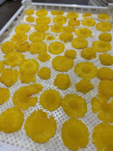 PRODUCTO MÁS VENDIDO: Piña Deshidratada, Fruta Limpia para una Experiencia de Snack Única y Alimento Rico en Fibra para el Control de Peso 2026 - Product Image 2