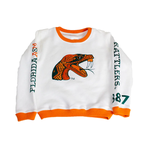 Ropa universitaria unisex personalizada FAMU Florida A & M University Jersey de calidad superior y estilos de Sudadera con capucha para hombres y mujeres - Product Image 1