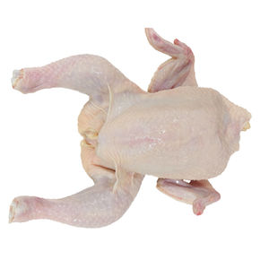 Pechuga de Pollo Halal Congelada, Sin Hueso, Sin Piel, Procesada Higiénicamente, Lista para Exportación, Suministro Global - Product Image 6