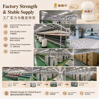 Factory Direct Single Strand 100% Polyester Chenille Yarn 16s Hand Knitting Crochet Recyclable Anti-Pilling Customizable Colors