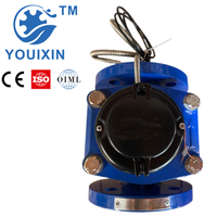 Compteur d'eau à turbine YOUIXIN ISO4064 IP68 40mm 50mm 65mm Woltman Classe B Corps en fer industriel OEM à bride Garantie 1 an