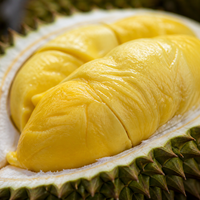 Verse Vietnamese Durian 2 kg |   28-37CM HELE VRUCHTEN met ROESTVRIJ STALEN BLADEN & USB OPLADEN voor GROOTHANDEL & EXPORT