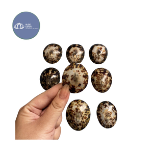 [VENTA EXITOSA] |   Conchas de Limpet Azules Trituradas, Suministro a Granel |   Material para resina artística, posavasos, manualidades, decoración, Vietnam - Product Image 2