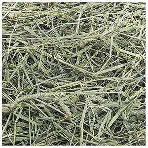 Foin d'alfalfa/foin de timothée riche en protéines à vendre - Product Image 1