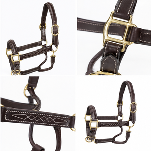 Fournisseur B2B de produits équestres en cuir artisanal, de la marque Divine International Uttar Pradesh - Product Image 3