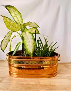 Maceta rectangular de metal con acabado dorado, ideal para decoración de plantas en jardín, balcón, entrada exterior y patio. - Product Image 1