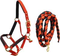 Licol et longe pour cheval de haute qualité en PP, taille et couleur personnalisables, confortables pour l'équitation, en promotion