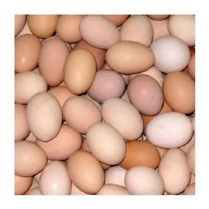 뜨거운 판매 농장 신선한 닭 테이블 계란 갈색과 흰색 껍질 닭고기 달걀