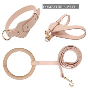 Collare per Cani in Pelle Regolabile Serie Boutique Ever Craft, Accessorio Premium per Animali Domestici - Product Image 4