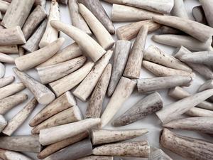 Botones de hueso ecológicos, botones de búfalo grabados a medida, botones de hueso natural, botones de ángel tallados al por mayor - Product Image 2