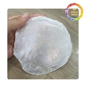 Panneaux de coquillages Capiz translucides pour la fabrication d'abat-jour, fournitures artisanales décoratives en coquillages naturels - Product Image 4