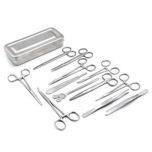 Juego de 13 Piezas de Instrumentos Quirúrgicos Menores Básicos, Incluye Pinzas, Tijeras, Portaagujas, Caja de Esterilización de Acero Inoxidable con Tapa - Product Image 1