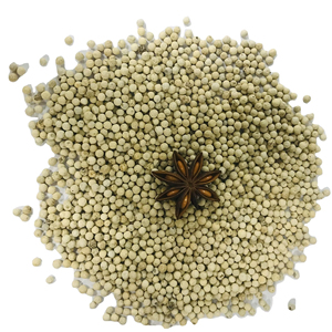 Pimienta Blanca de Alta Calidad, la Más Vendida, Entera, 550 y <span class=keywords><strong>570</strong></span> GL MC, Pimienta Blanca Limpia. Contactar a la Sra. Doris +84 35 254 2206 - Product Image 1
