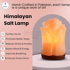 Lámpara de Sal del Himalaya de Diseño Elegante, Tallada, de Alta Calidad, Luz Cálida Moderna, Decoración para el Hogar, Estilo Elegante - Product Image 4