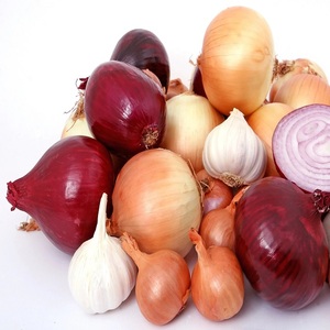 Oignon rouge frais, naturel, délicieux, de qualité supérieure, biologique, très vendu, pour l'exportation et les achats en gros - Product Image 1