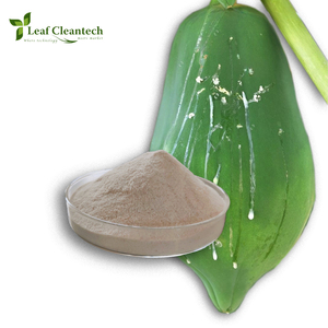 Enzyme d'alimentation animale de qualité exceptionnelle de papaïne fabriquée en Inde à Bangalore, Karnataka, Inde - Product Image 2