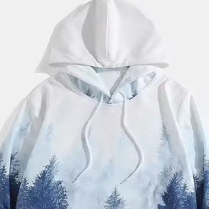 Sudadera con Capucha de Invierno para Hombre, Impresión Digital Sólida, Logotipo Personalizado en la Parte Delantera, OEM MOQ 10 Piezas, Felpa de Algodón 100% Premium, Ecológica - Product Image 5