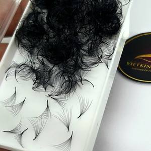 Extensiones de Pestañas de Volumen Sintético Pre-fabricadas, Abanicos Estrechos Hechos a Mano, Curvatura Larga C/CC/D/DD/M/L, Entrega Rápida - Product Image 1