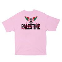 T-shirt personnalisé en coton à manches courtes pour hommes et femmes, col rond, avec message imprimé Ukraine et Palestine, slogan personnalisé