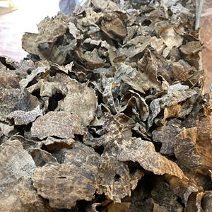 Cristal Natural de Diferentes Tamaños, Rebanada de Madera Fósil, Cristal Pulido, Losa de Madera Petrificada, Moda - Product Image 6