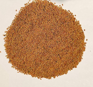 Graines de fenugrec de qualité supérieure, vente en gros, approvisionnement en vrac, qualité alimentaire, prêtes à être expédiées, fournisseur d'exportation de qualité supérieure - Product Image 1