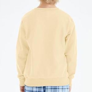 เสื้อฮู้ดดี้เด็กคุณภาพสูง หนัก 350 กรัม ผ้าฝ้าย สีพื้น เสื้อกันหนาวเด็กบุขนแกะ เสื้อพูลโอเวอร์เด็กผู้ชาย - Product Image 2