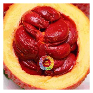 Viande de fruit GAC surgelée IQF pure |   Source vietnamienne d'antioxydants en emballage en vrac - Product Image 1