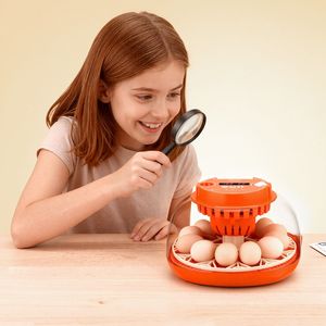 Incubatrice per 12 Uova con Rotazione Automatica, Illuminatore LED, Controllo Temperatura e Umidità, Finestra Trasparente a 360°, Materiali PC e PP - Product Image 2