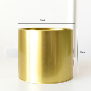 Maceta de Metal Dorada con Recubrimiento Electrolítico, Maceta Decorativa, Porta Plantas Elegante, Florero para Sala de Estar y Oficinas - Product Image 2
