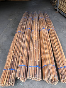 Vietnamese rattan export Raw & Natural Rattan Sticks - Product Image 3