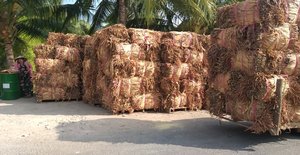 Cordón Natural de Jacinto de Agua Crudo de Vietnam para Artesanías y Productos Tejidos, Mejor Precio de Fábrica en Vietnam - Product Image 3