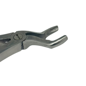 Forceps d'extraction dentaire en acier inoxydable, pinces chirurgicales orthodontiques pour l'extraction des dents, professionnelles, approuvées ISO - Product Image 1
