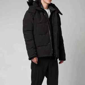 Veste matelassée de haute qualité pour homme, vêtement décontracté pour homme, manteau d'hiver, col montant, veste matelassée épaisse et isolante, style tendance - Product Image 1